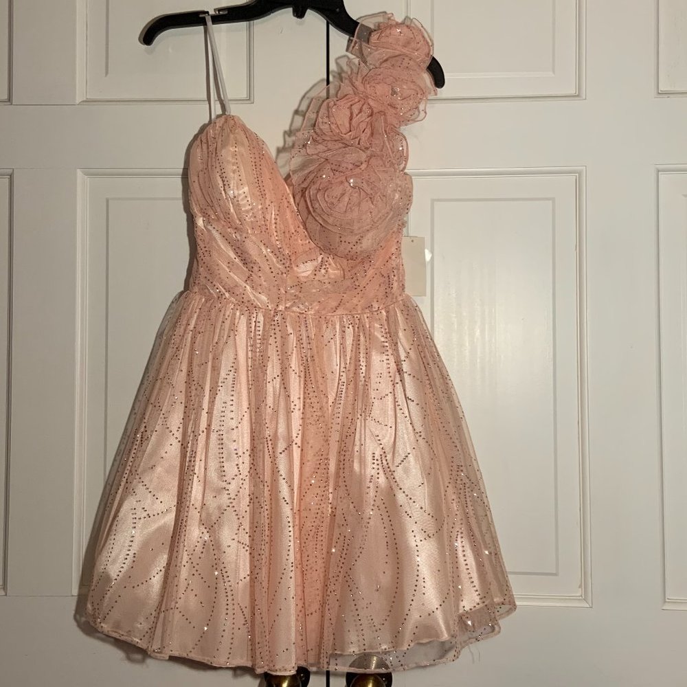 Peach Womens Dress